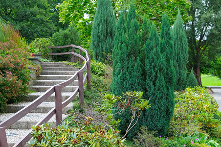 带楼梯和灌木的舒适公园背景图片