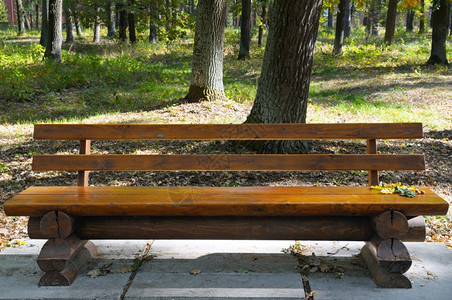 秋天公园的木板凳图片
