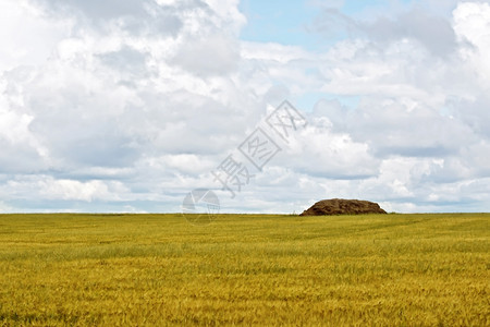 黄色谷物田干草堆或天空背景的稻草图片