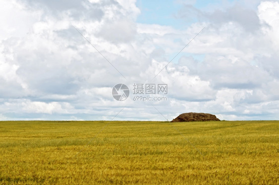 黄色谷物田干草堆或天空背景的稻草图片