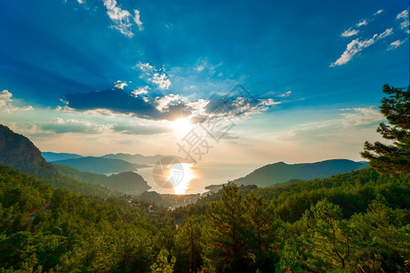 山上有松树海太阳升起图片