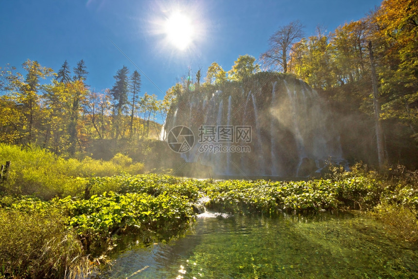 公园自然风景图片