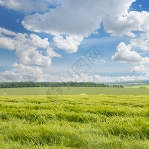 绿野和蓝天空有云图片