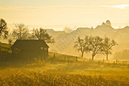 乡村风景的晨雾图片