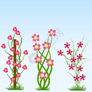 春季花的矢量说明图片