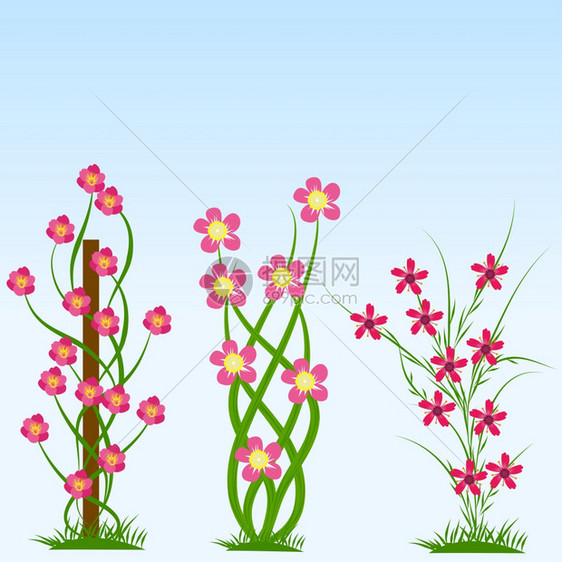 春季花的矢量说明图片