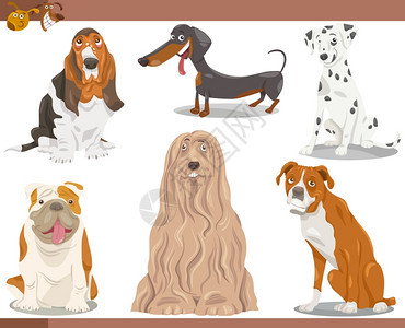 滑稽纯种狗宠物盒的漫画插图图片