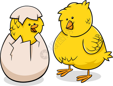 漫画插图可爱的小黄鸡或从蛋孵出的小背景图片