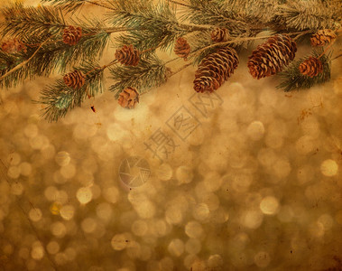 黄色背景上的圣诞树枝图片
