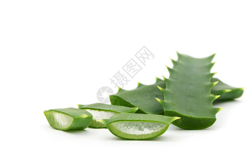 白芦荟背景