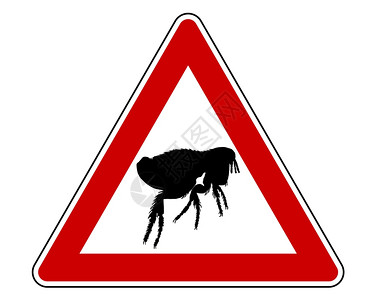 跳蚤警告符号图片