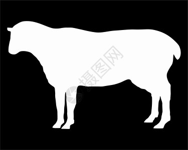 洗碗背影插画-洗碗背影卡通-一只狗跳蚤的黑色背影插图-摄图网