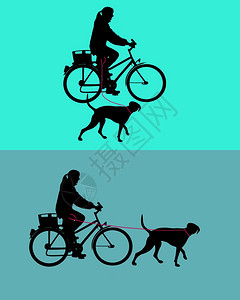 妇女骑自行车和狗系着皮带的妇女图片