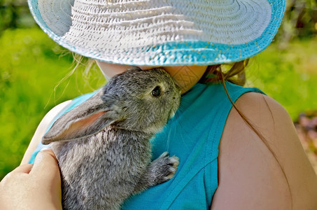 灰色的可爱的动物兔子图片