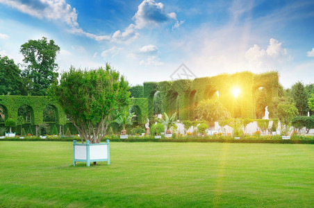 夏天公园的草坪和篱笆背景高清图片素材