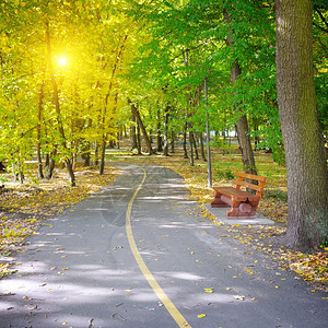 秋天公园的阳光图片