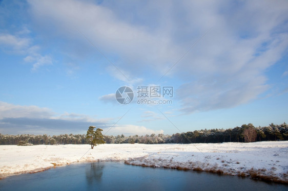 泽西附近雪和冷冻池塘图片