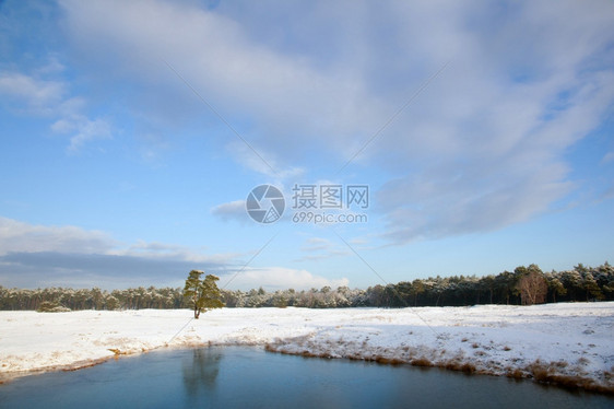 泽西附近雪和冷冻池塘图片