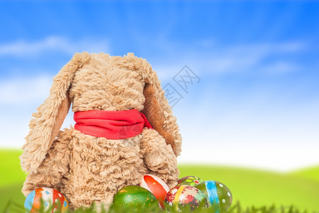 兔子坐在绿色草地上一群彩多的鸡蛋后面有蓝天空背景庆祝复活节快乐的图片