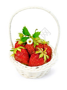 白色圆篮子中成熟的红草莓白底鲜花和绿树叶与白底本隔绝背景图片