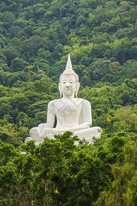 大佛白色在泰国的佛寺在山区和福里斯特克拉特图片