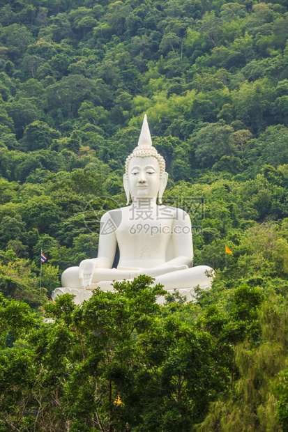 大佛白色在泰国的佛寺在山区和福里斯特克拉特图片