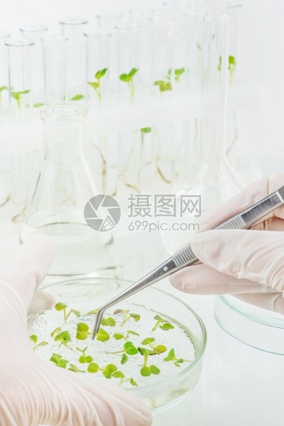 手持橡胶套装有生物材料封闭式试管的橡胶手套图片