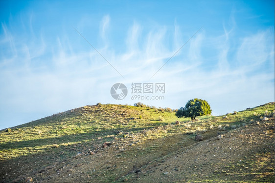 蓝的山岳上独树图片