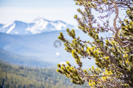 君王路口附近的彩色山峰图片