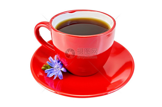 在一个红色杯子里喝白葡萄酒蓝色的菊花放在一个白色背景的孤立碟子上图片
