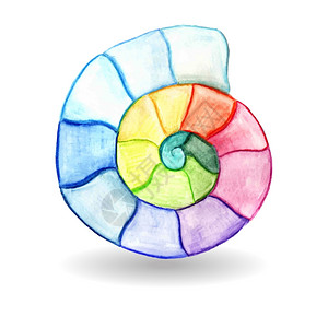 紫色 动物矢量水彩色贝壳插画