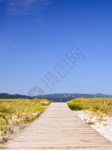 有一天夏日蓝色的空通往海滩的木步行道图片