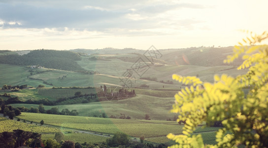 典型的Tuscany山丘风景和透光耀斑图片