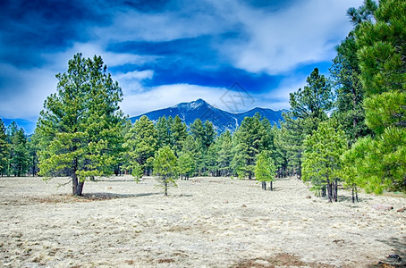 风景优美的沙漠远处有山羊峰图片