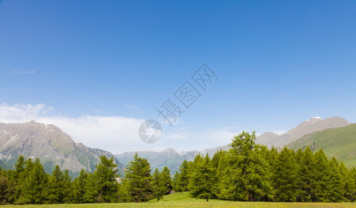 在意大利山高上美丽的景色夏天有森林背景佩德蒙特地区北意大利图片