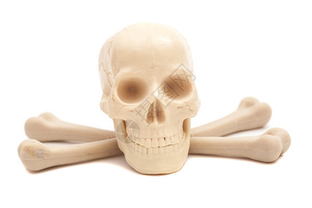 人体骨架骨骼侧面背景