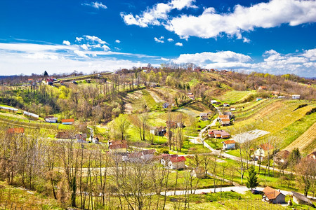 绿色葡萄园山丘空中观察croati图片