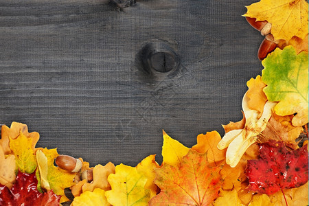 旧木板上多色秋叶背景图片