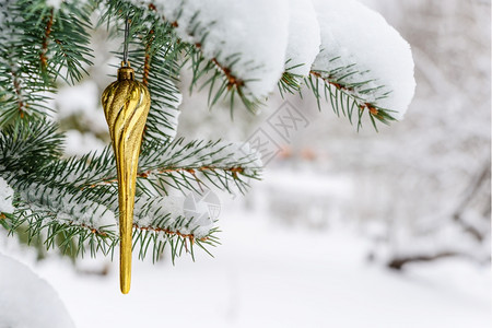 金色的圣诞玩具在花朵上覆盖着冰雪的圆形树枝上图片