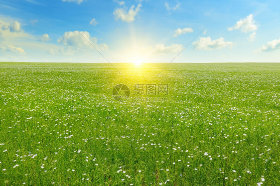 田地上闪亮的柔软和蓝天空图片