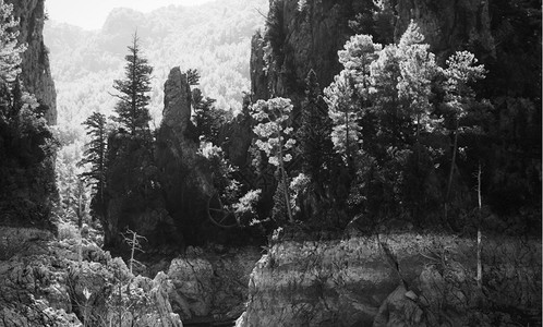 火鸡中的绿峡谷湖黑白相照图片