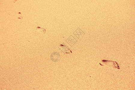 海滩沙上的脚印图片