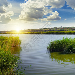 湖边和太阳上厚的草图片