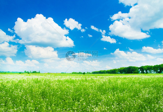 绿地和蓝天空图片
