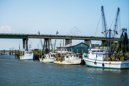 港口码头的渔船和图片