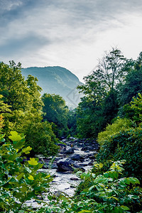 山上岩层流淌的河图片