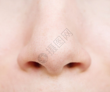 鼻孔图片