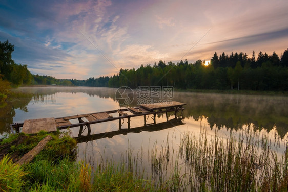 美丽的清晨风景湖边有雾图片