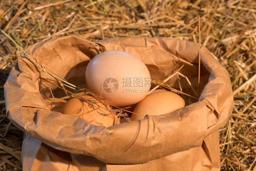 生鸡蛋包装在的紧身装中图片