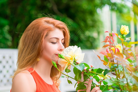 女子闻着盛开的玫瑰图片